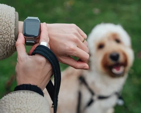 The Truth About Smartwatches? Daily Existence Feels Fuller Without a Nagging Zealot on Your Arm